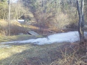 ice marsh web