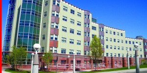 eastview osmanski web