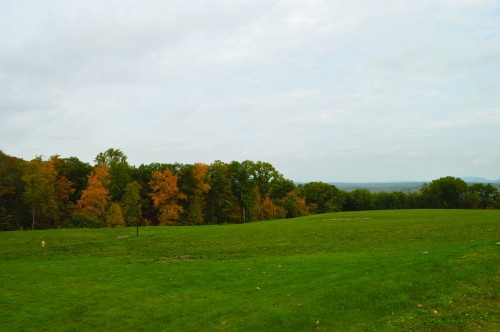 DSC_0870