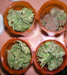 rsz_medicinal_marijuana
