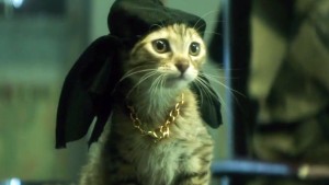 In the comedy directed by Peter Atencio starring Keegan-Michael Key, Jordan Peele, the main character Keanu is played by multiple different cats.