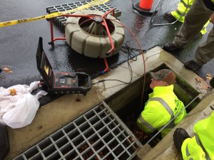 Facilities used a camera to see inside the drain and coax the kittens out.